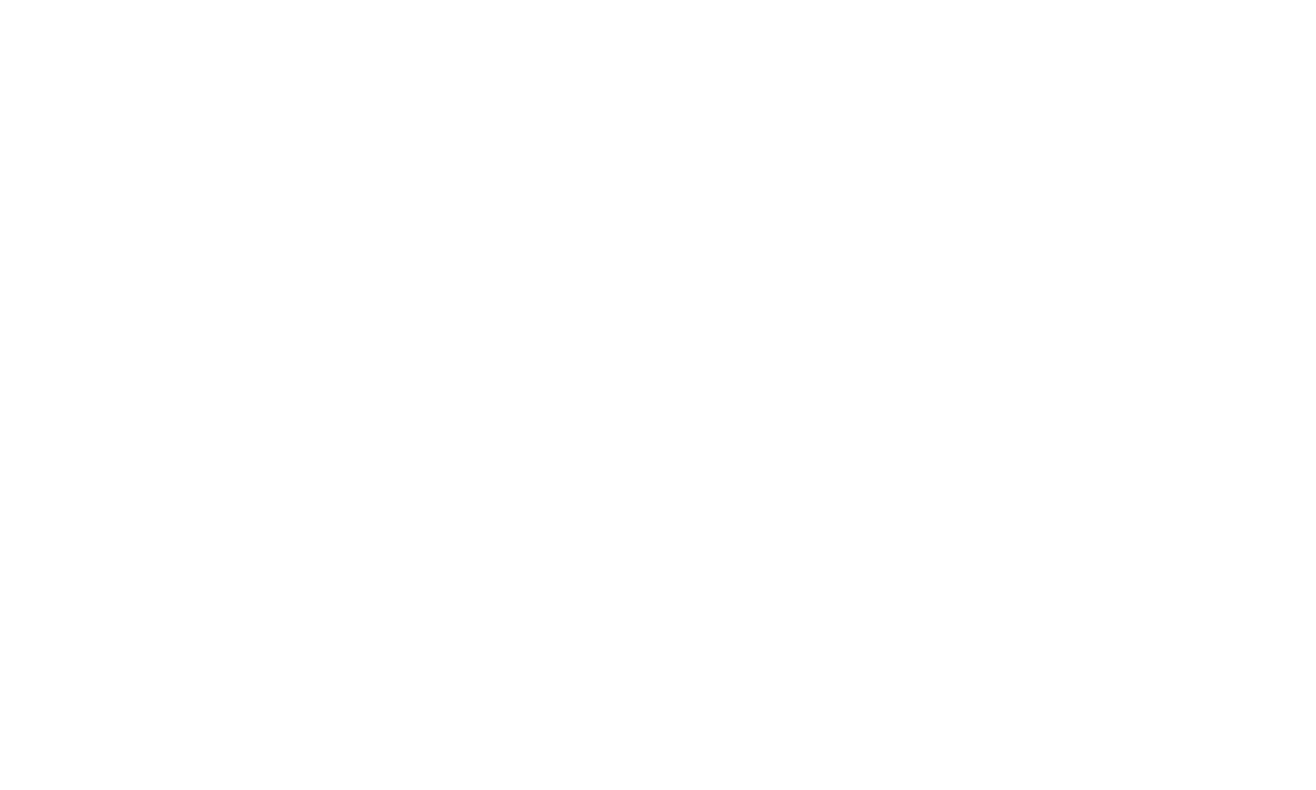 Operation finale